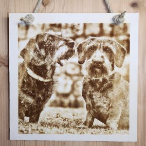 bild auf holz 30 x 30