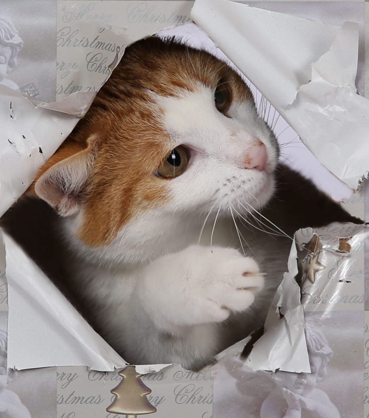 770862cd d8ba 4283 8a48 bb0625af2c72